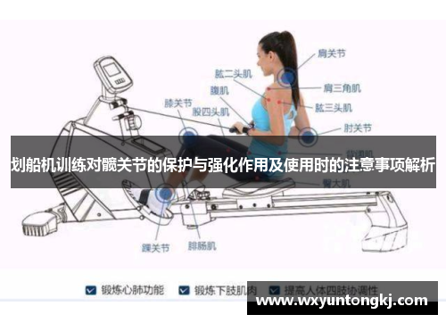 划船机训练对髋关节的保护与强化作用及使用时的注意事项解析