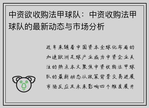 中资欲收购法甲球队：中资收购法甲球队的最新动态与市场分析