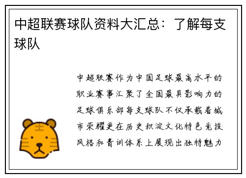中超联赛球队资料大汇总：了解每支球队
