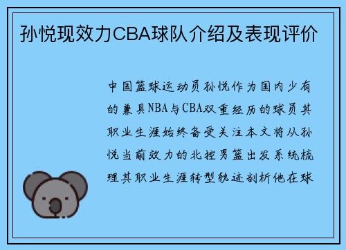 孙悦现效力CBA球队介绍及表现评价